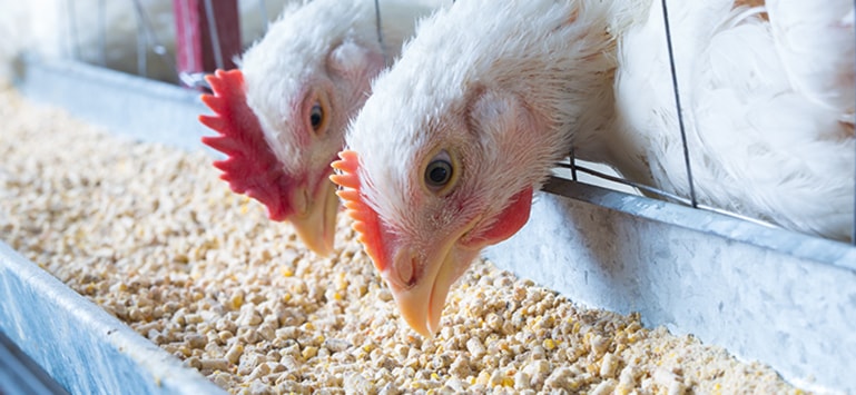 永乐高·(中国区)官方网站