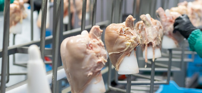 永乐高·(中国区)官方网站