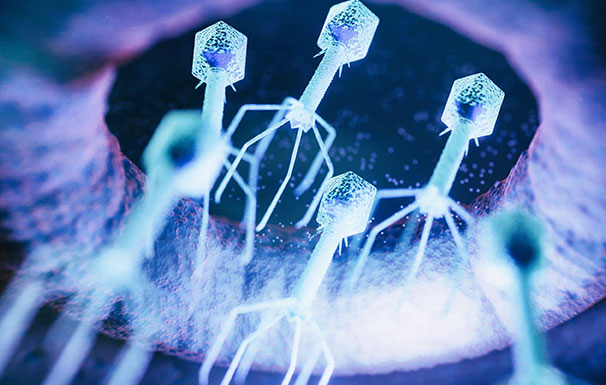 永乐高·(中国区)官方网站