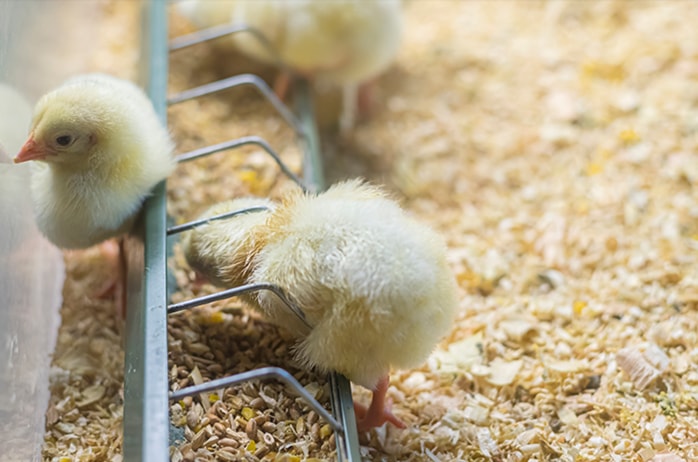 永乐高·(中国区)官方网站