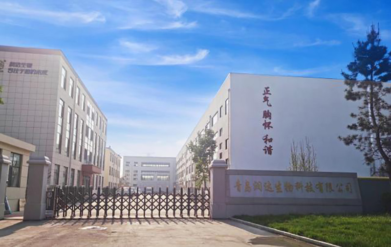 永乐高生物简介