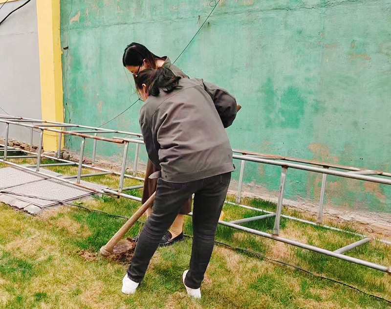  播种希望·拥抱春天||永乐高生物起劲开展植树节活动