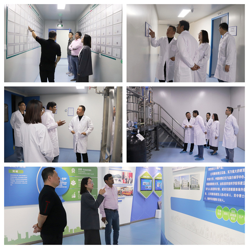头条新闻丨热烈接待巴基斯坦客户莅临永乐高生物旅行考察！