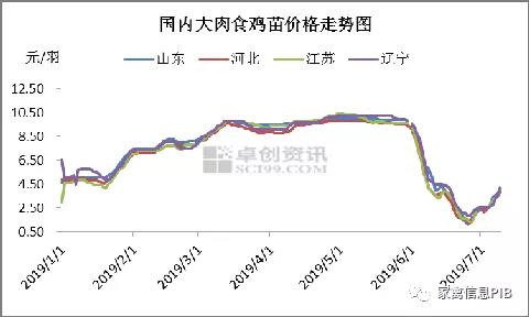 鸡苗价钱触底反弹，养殖本钱再度走高