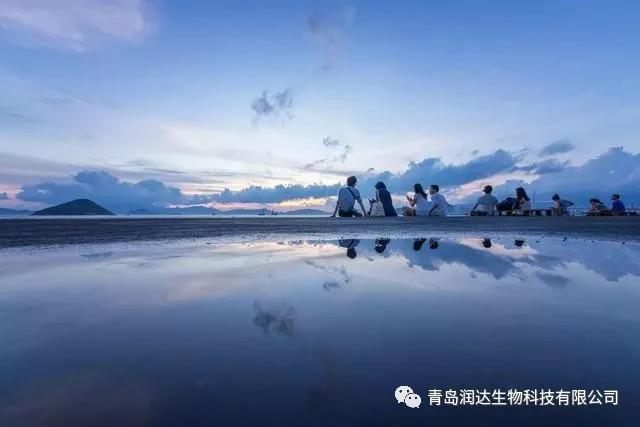 宽容，是世上最好的美德