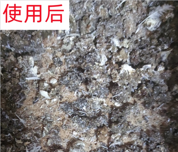  养殖科普||您真的相识益生源吗？