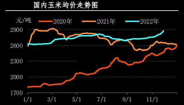 玉米