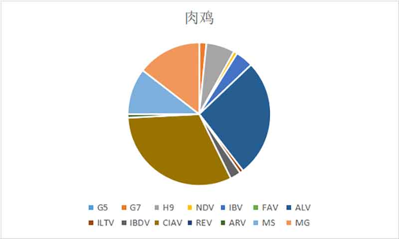 2022年12月白羽肉鸡疫病检测剖析报告