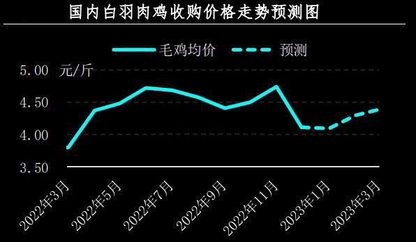 12月肉鸡市场行情剖析及1月展望
