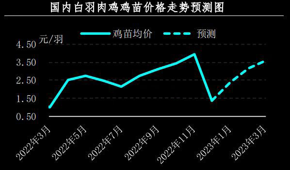 12月肉鸡市场行情剖析及1月展望