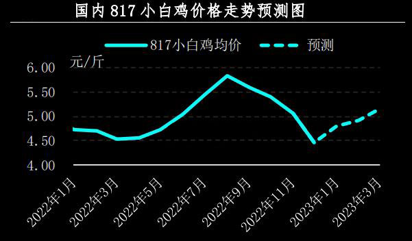 12月肉鸡市场行情剖析及1月展望