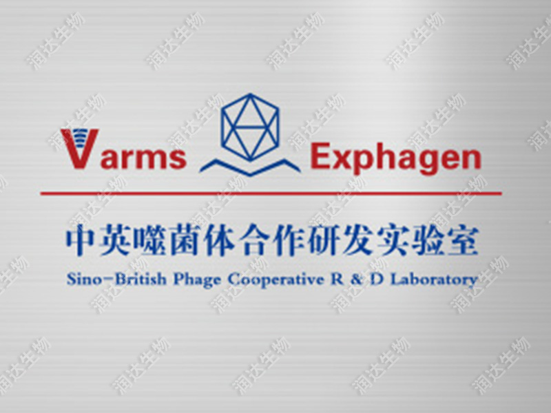 中英噬菌体实验室