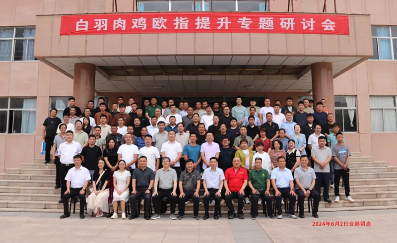 博采众长话欧指·同创共享增效益||永乐高生物白羽肉鸡欧指提升专题钻研会（潍坊专。┰猜倏