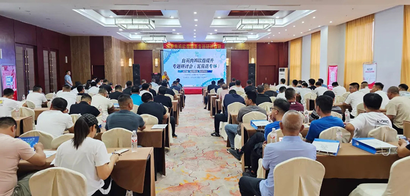 博采众长话欧指·同创共享增效益||永乐高生物白羽肉鸡欧指提升专题钻研会（瓦房店专。┰猜淠